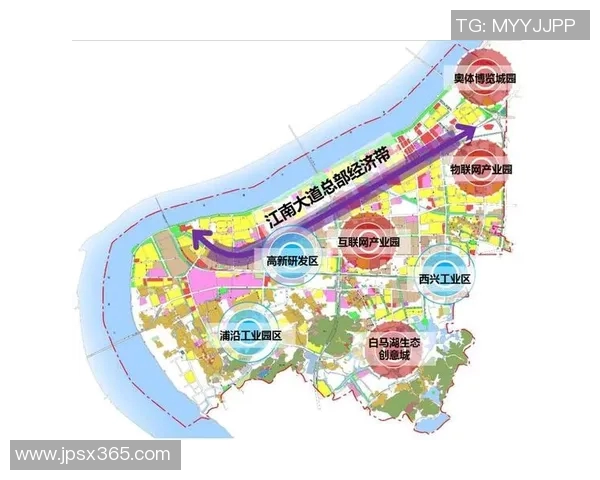 杭州乒乓球队区域防守创新探索与实践分析全面解读